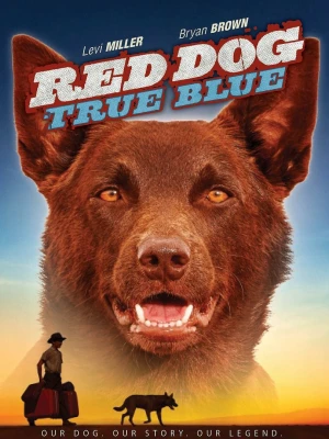 Blue, mon Chien d'Australie