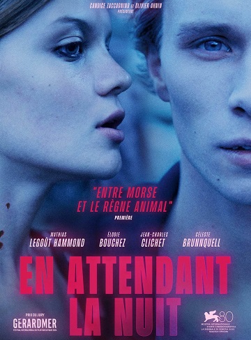 En attendant la nuit