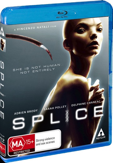 Splice