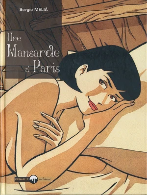 Une mansarde à Paris