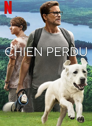 Chien Perdu