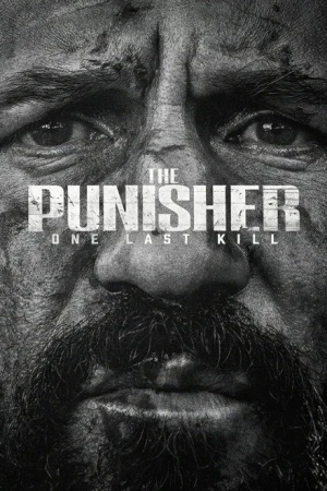 The Punisher : One Last Kill