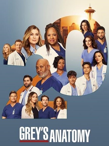 Grey's Anatomy - Saison 20