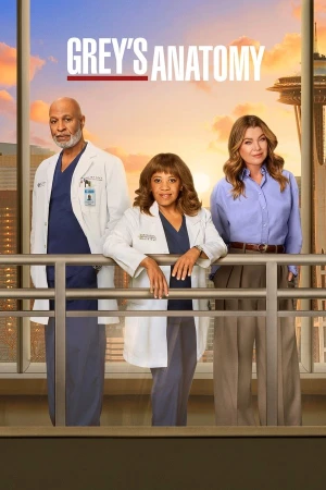 Grey's Anatomy - Saison 22