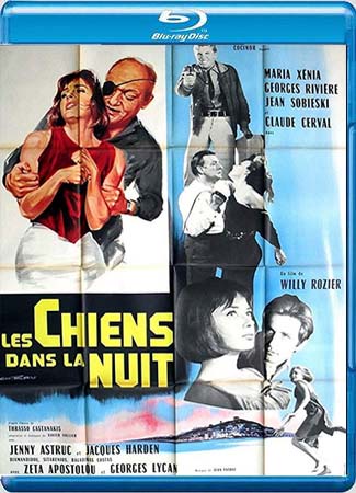 Les chiens dans la nuit