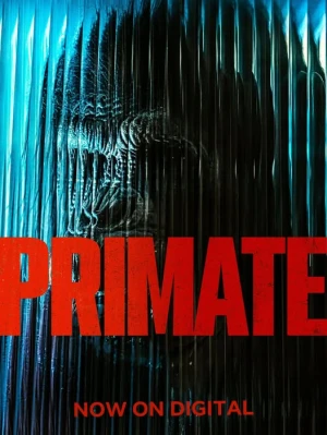 Primate