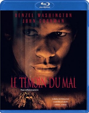 Le Témoin du mal