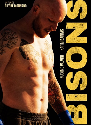 Bisons