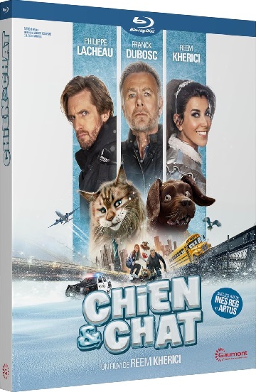 Chien et Chat