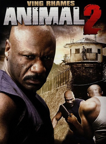 Animal 2