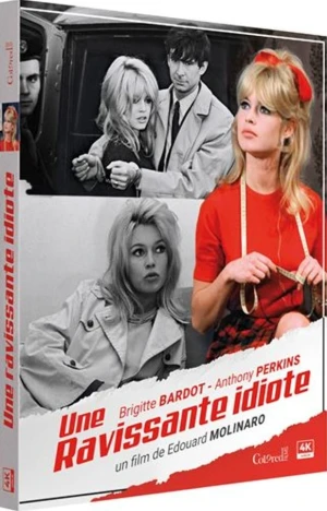 Une ravissante idiote