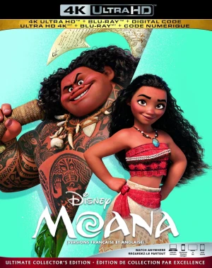 Vaiana la legende du bout du monde